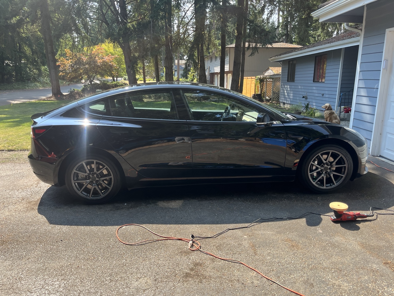 Black sedan during paint polishing